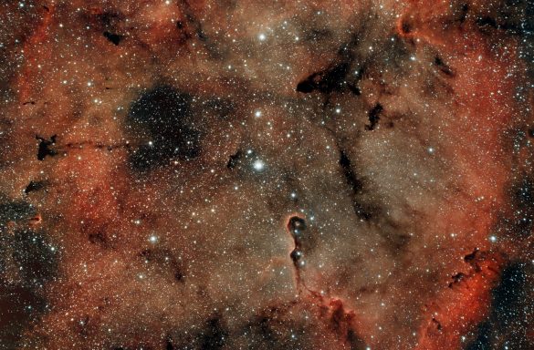 IC1396