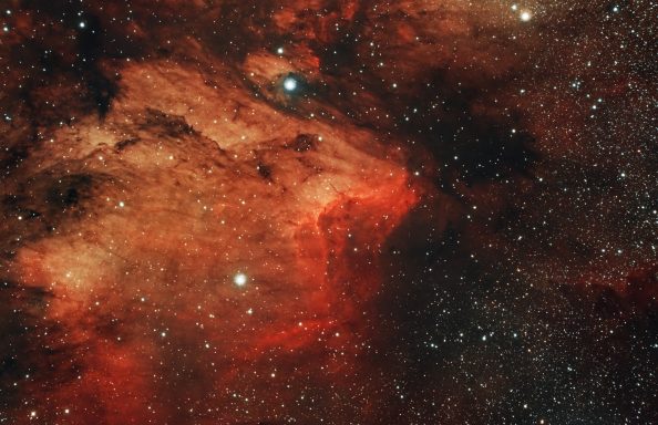 IC50570
